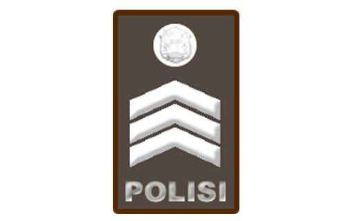 Brigadir Polisi – Brigpol