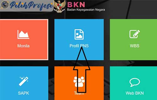 Cek Jabatan PNS via Website 