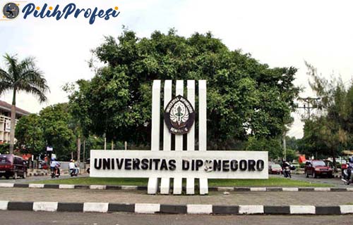 Universitas Diponegoro 1