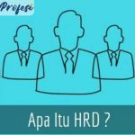 Apa Itu HRD Dalam Perusahaan Lengkap Dengan Pengertian Tugas dan Fungsinya