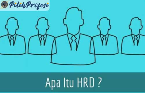 Apa Itu HRD Dalam Perusahaan Lengkap Dengan Pengertian Tugas dan Fungsinya