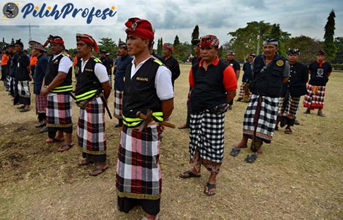 Tugas Polisi Adat Bali