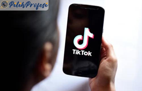 Gaji TikTok Per Perbulan Cara Menghasilkan Sumber Uang