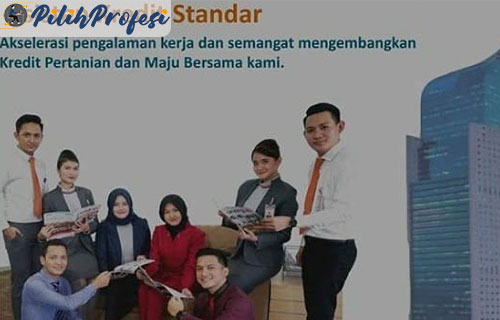 Syarat Menjadi Asisten Kredit Standar BNI