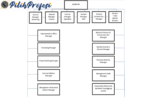 Struktur Organisasi PT Konimex Indonesia