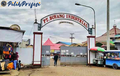 Profil PT Boyang Industrial